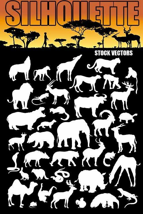 Animal Collection Vector