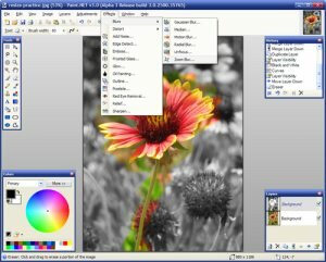 Paint.NET.3.30.3019.RC1 -   