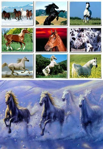42HQ Horses wallpapers