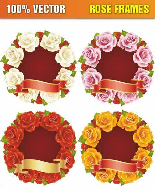 Rose Frames Vector