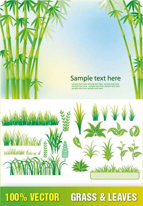 Grass & Leaves Vector