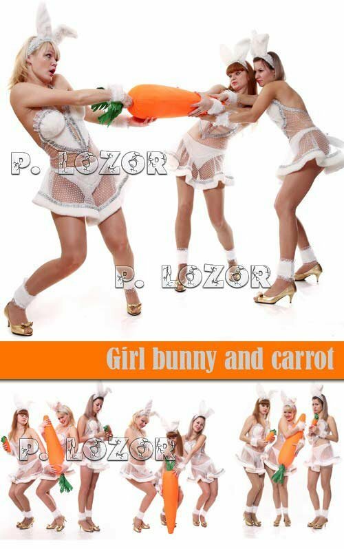 Girl bunny and carrot lipart